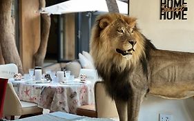 Simba Safaris African Pride Exotic Lodge